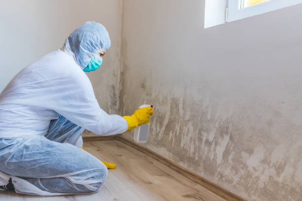 Bathroom Mold Removal assessment in Peachtree Corners bathroom