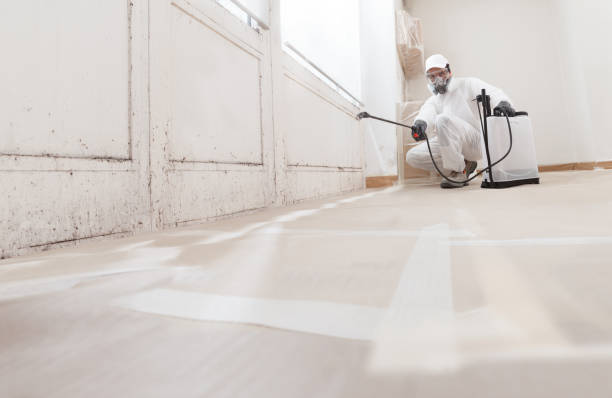 Black mold remediation team in Peachtree Corners
